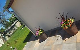 Lilien Deluxe